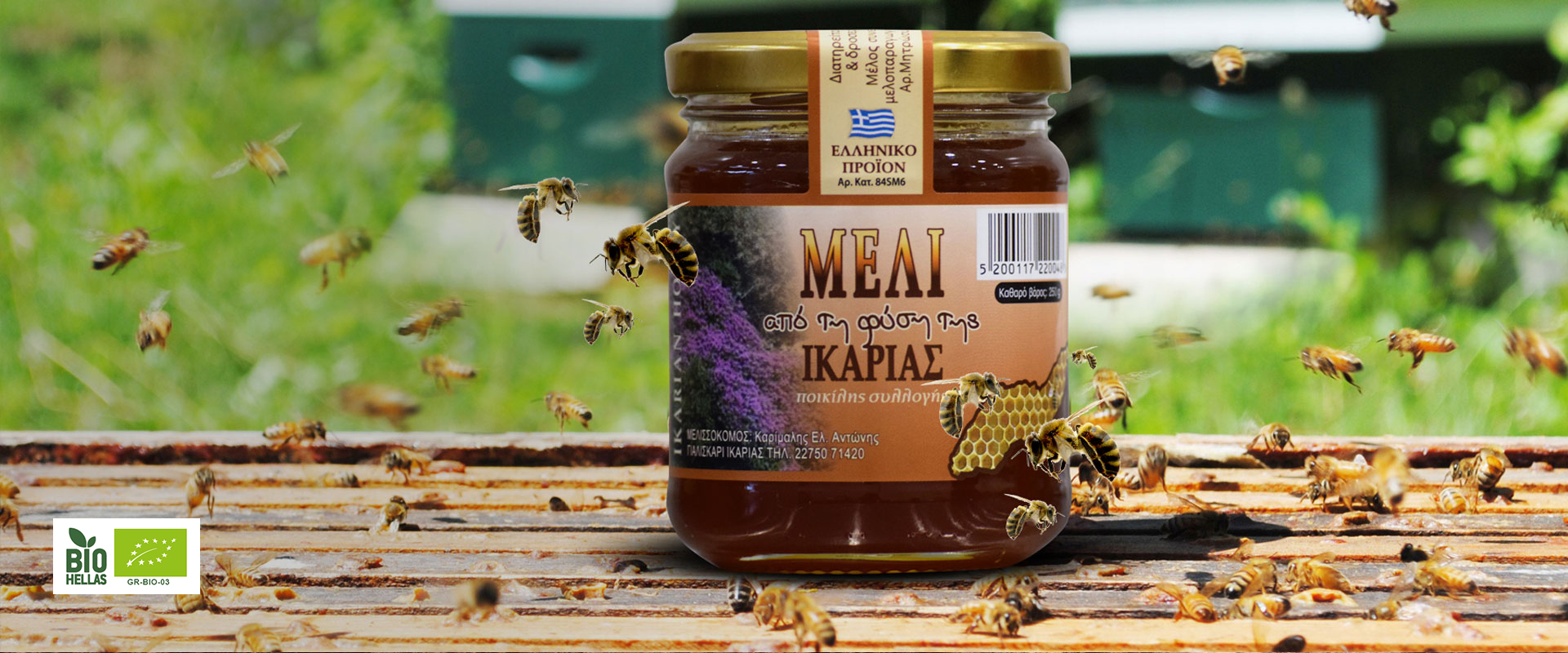 Φυσικό & Βιολογικό 